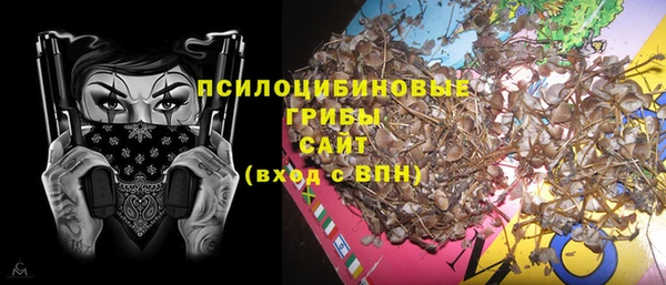 синтетический гашиш Алексеевка