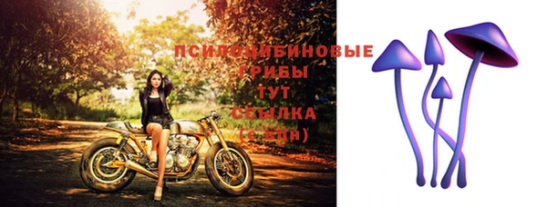 mix Абинск