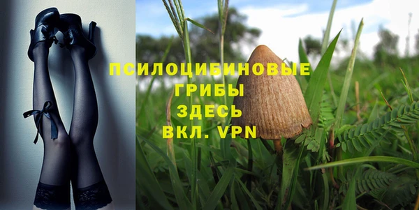 синтетический гашиш Алексеевка