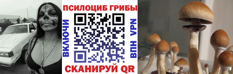 MEGA онион  Котельнич  Псилоцибиновые грибы GOLDEN TEACHER 